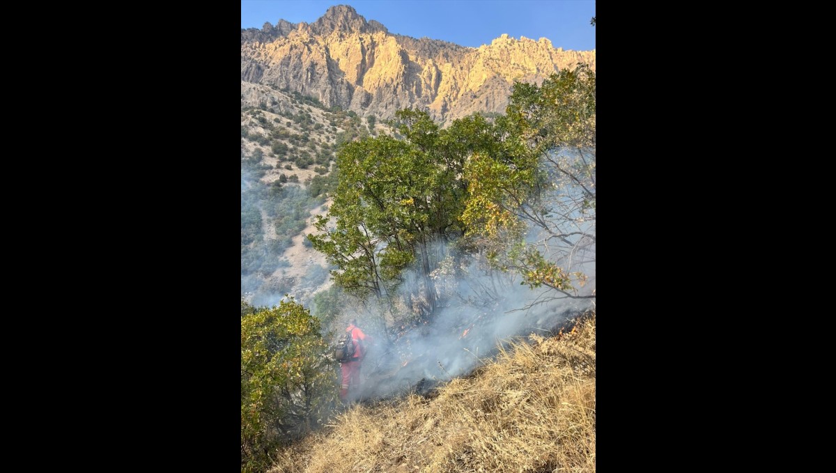 Hakkari kırsalında çıkan yangın söndürüldü