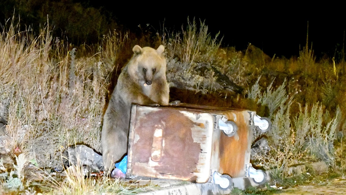Havaların soğuduğu Kars