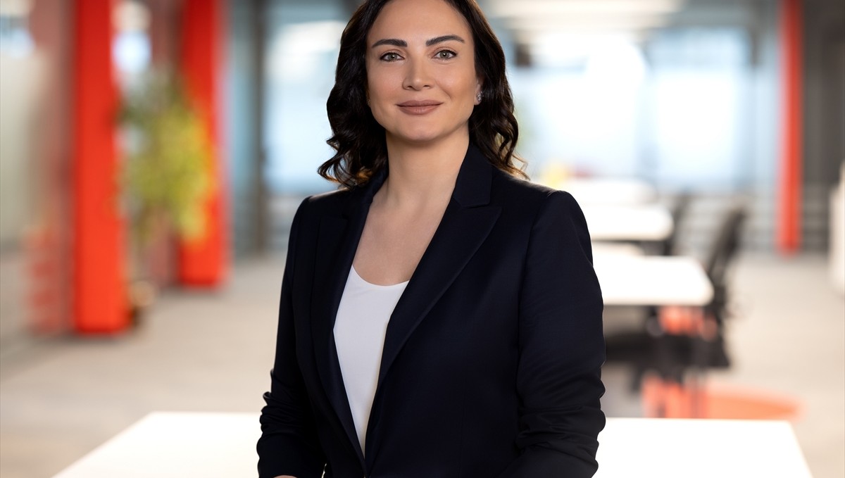 Logo Yazılım ve Visa'dan "Ticari Kredi Kartı Hareketlerinin Aktarımı" hizmeti