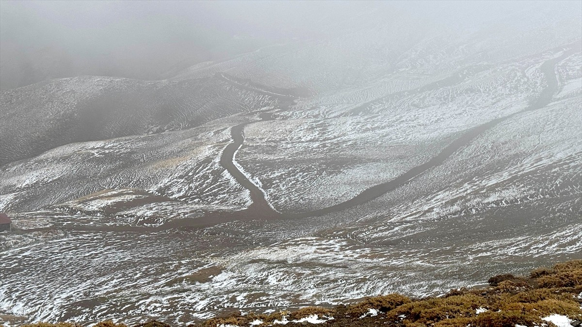 Muş'ta kar ve sis etkili oldu