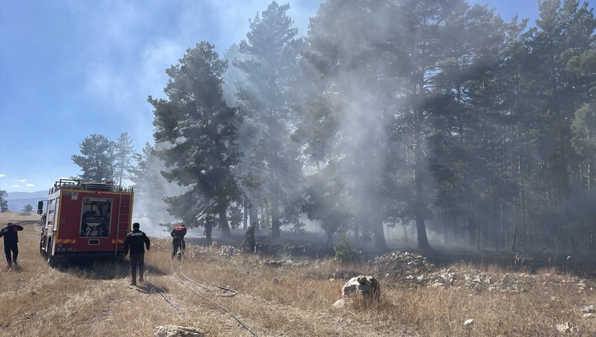 Sarıkamış'ta çıkan orman yangınında yaklaşık 1 hektar alan zarar gördü