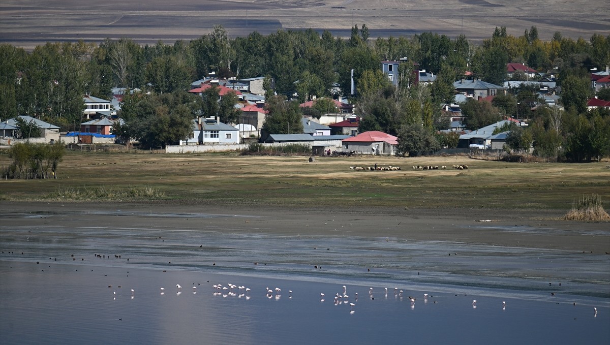 Van'daki Erçek Gölü 30 yılda 6 kilometrekare alan kaybetti