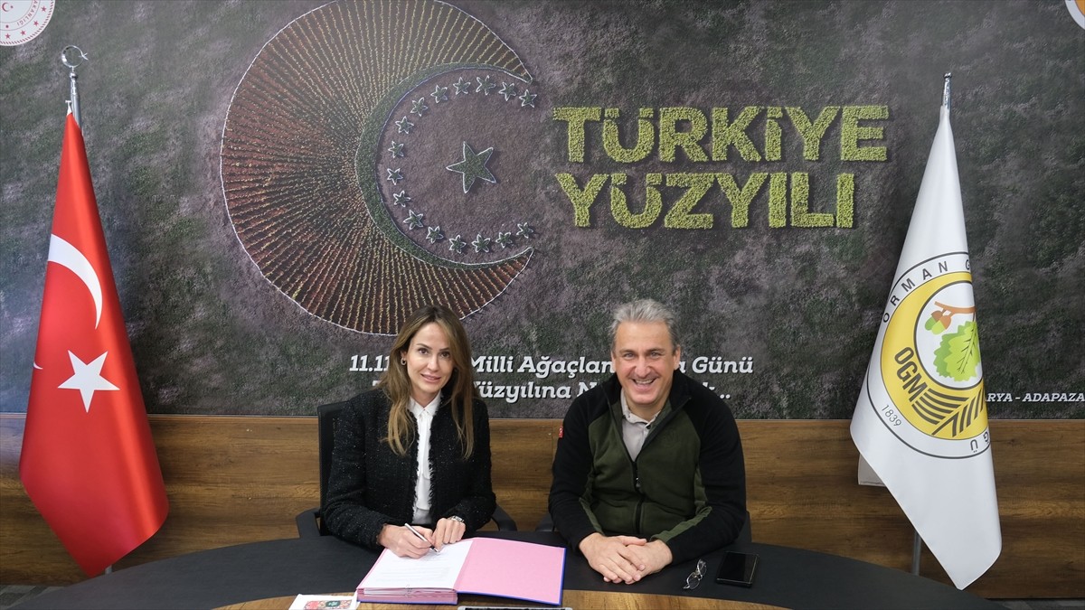 Yıldızlar Yatırım Holding