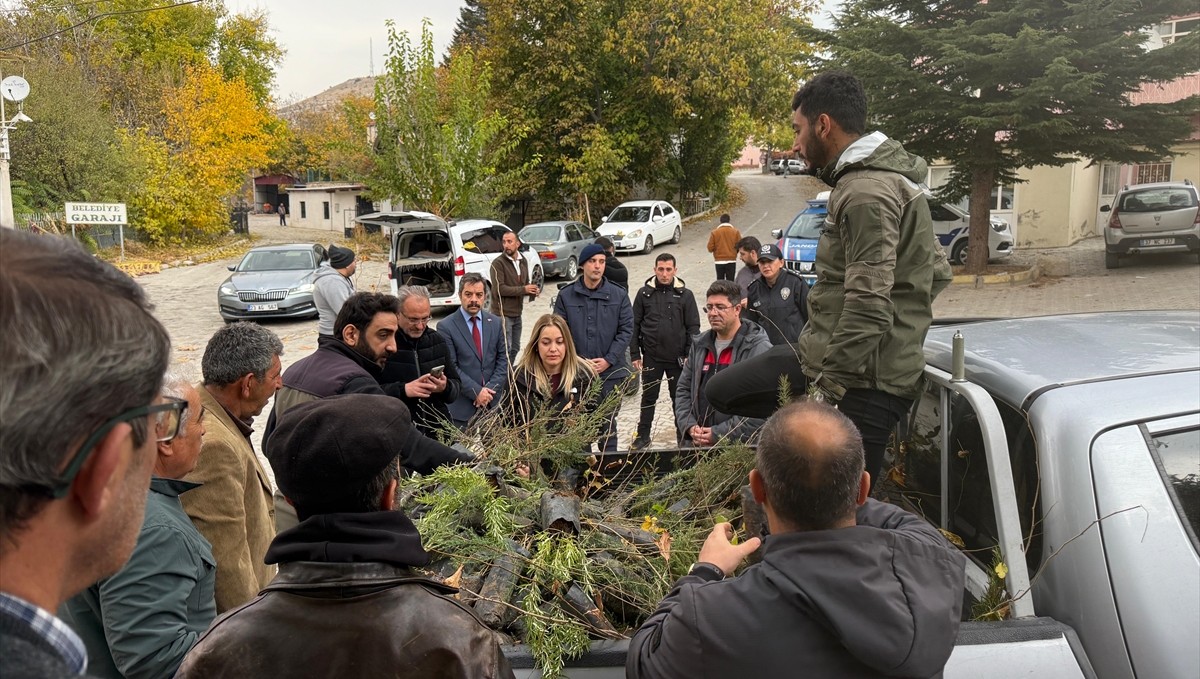 Ağın'da vatandaşlara 2 bin 500 fidan dağıtıldı
