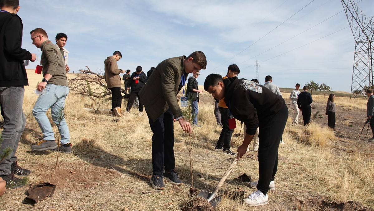 Ahlat'ta Milli Ağaçlandırma Günü'nde fidan dikildi