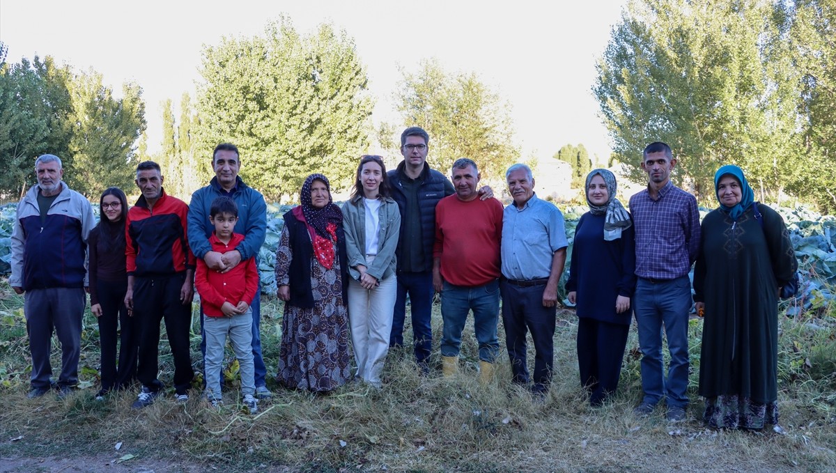 Ata tohumuyla yetiştirilen "Erciş lahanası"nın hasadı başladı
