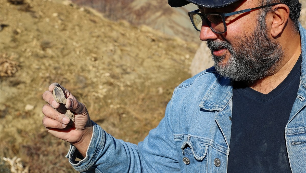 Bingöl'de 50 milyon yıllık oldukları değerlendirilen deniz canlısı fosilleri bulundu