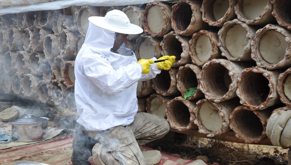 Bitlis'in yüksek rakımlı yaylalarında kara kovan balı hasadı sürüyor