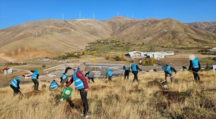 serbestlik denetimli Bitlis