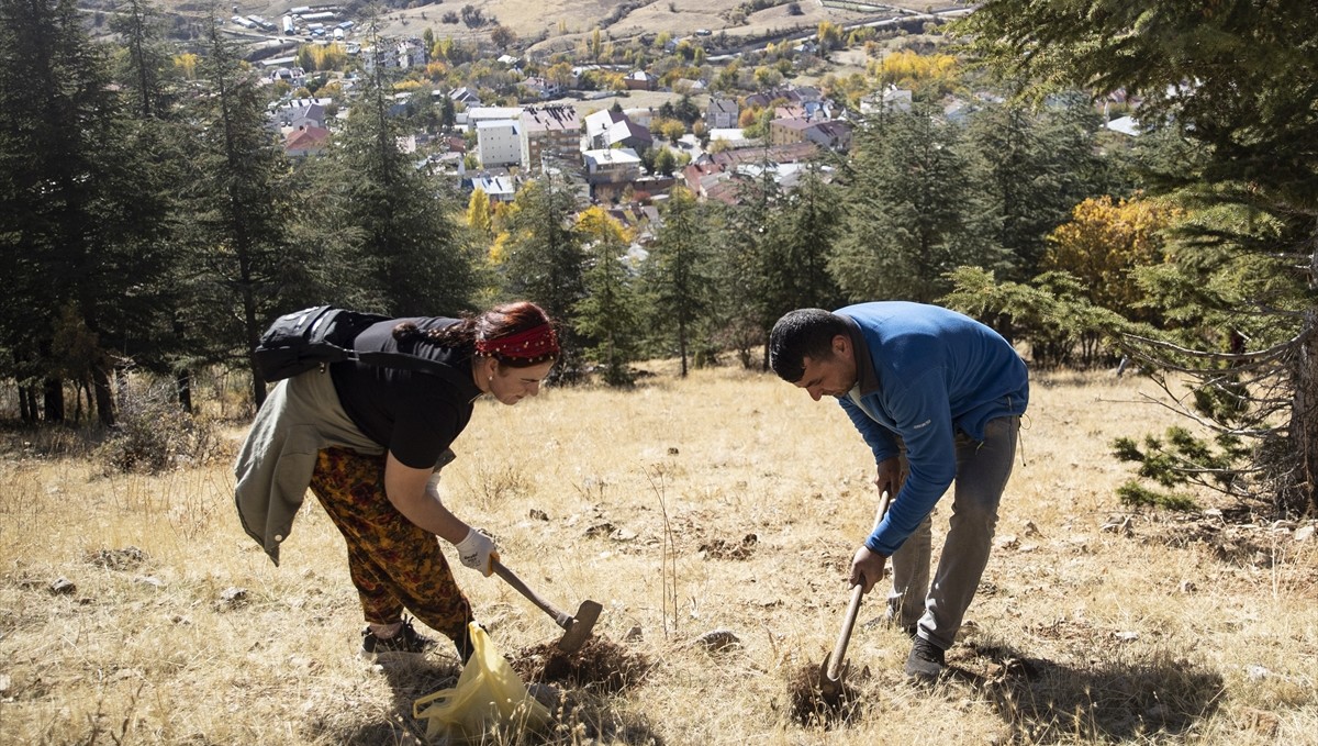 Doğa tutkunları, Tunceli'nin kıraç topraklarını meşe palamuduyla buluşturuyor