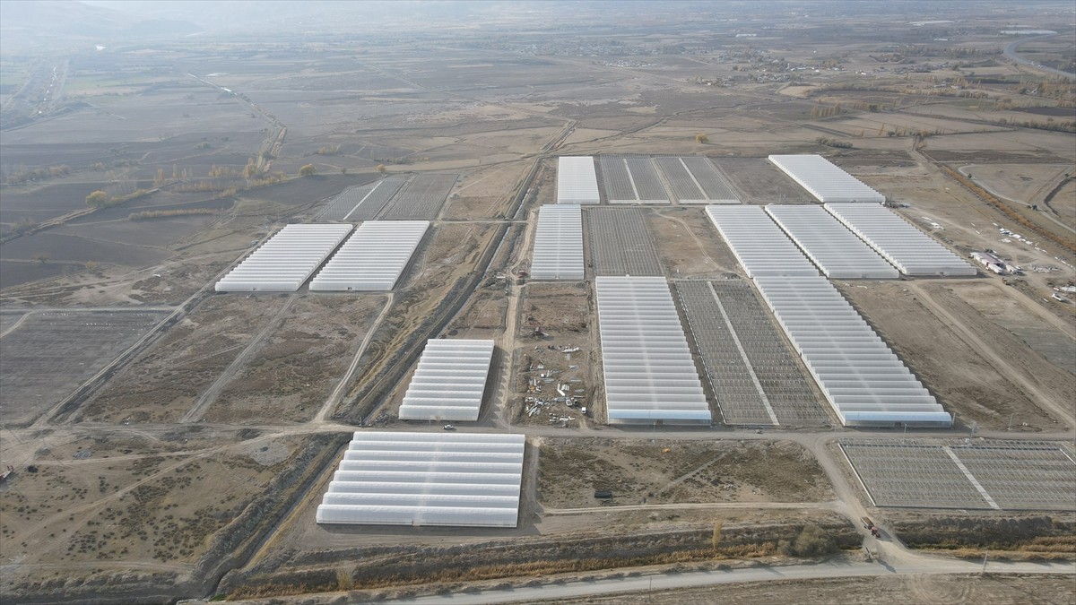 Doğu Anadolu'nun en büyük toplu sera alanı Erzincan'da kurulacak