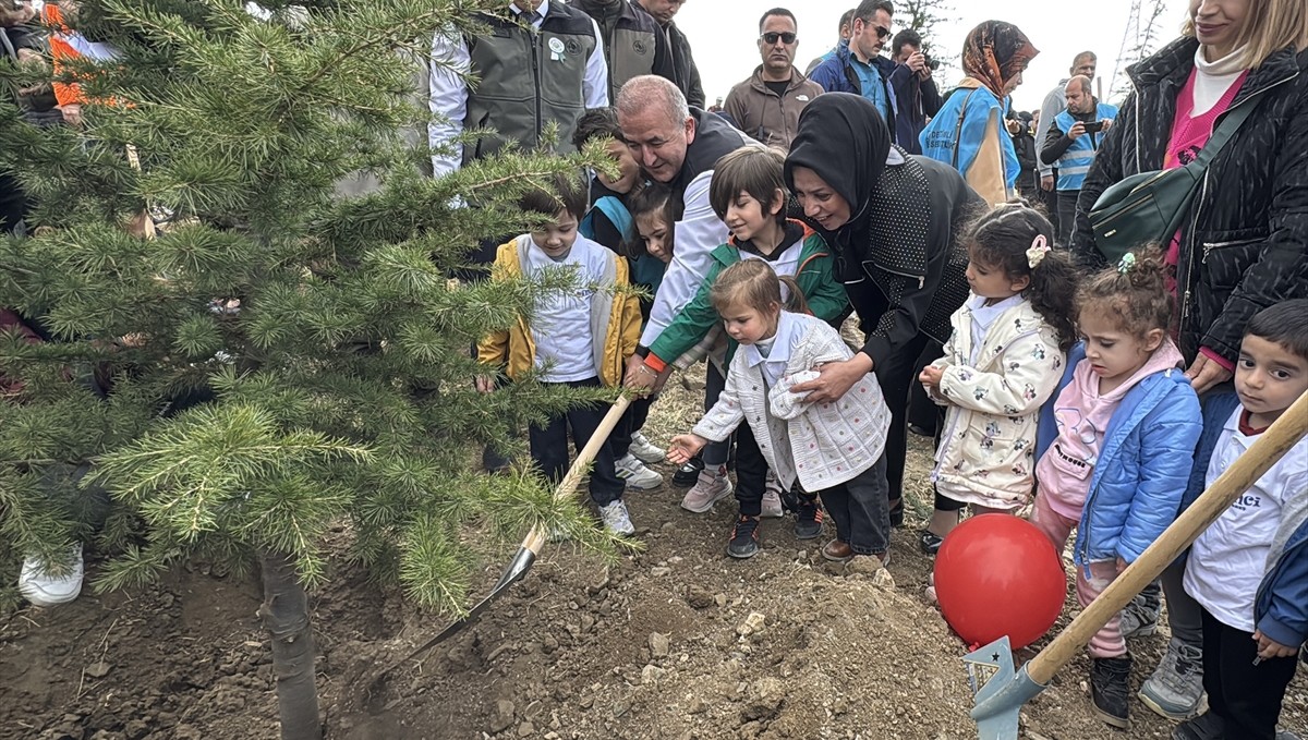 Elazığ, Şırnak ve Bingöl