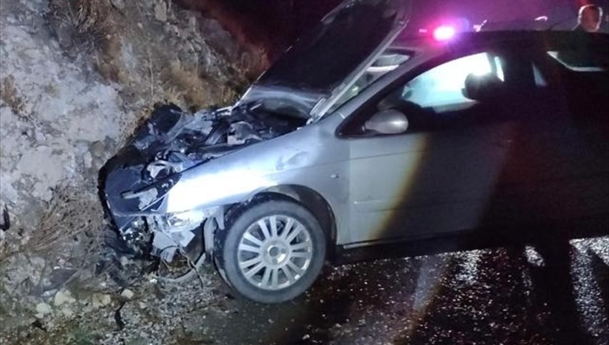 Erzincan'da ayıya çarpan otomobilde 1 kişi yaralandı