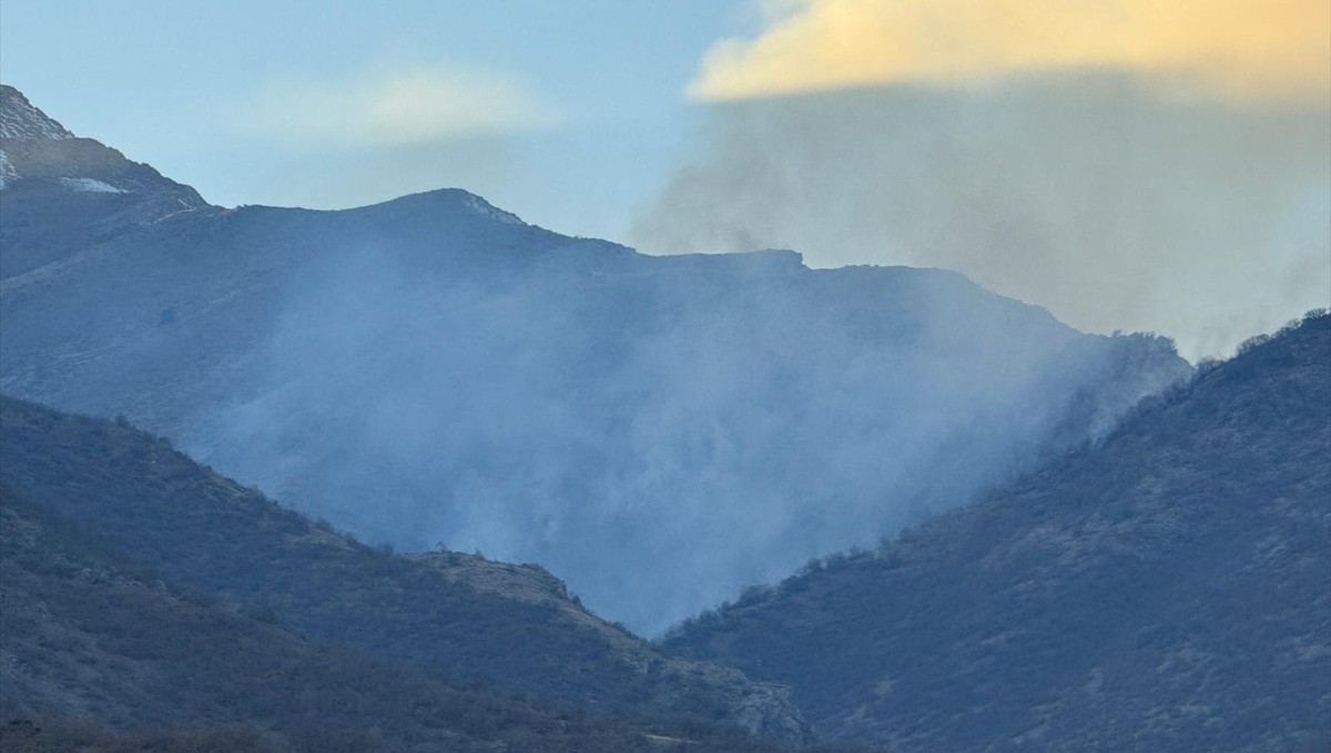Hakkari'de ağaçlık alanda çıkan yangın kontrol altına alındı