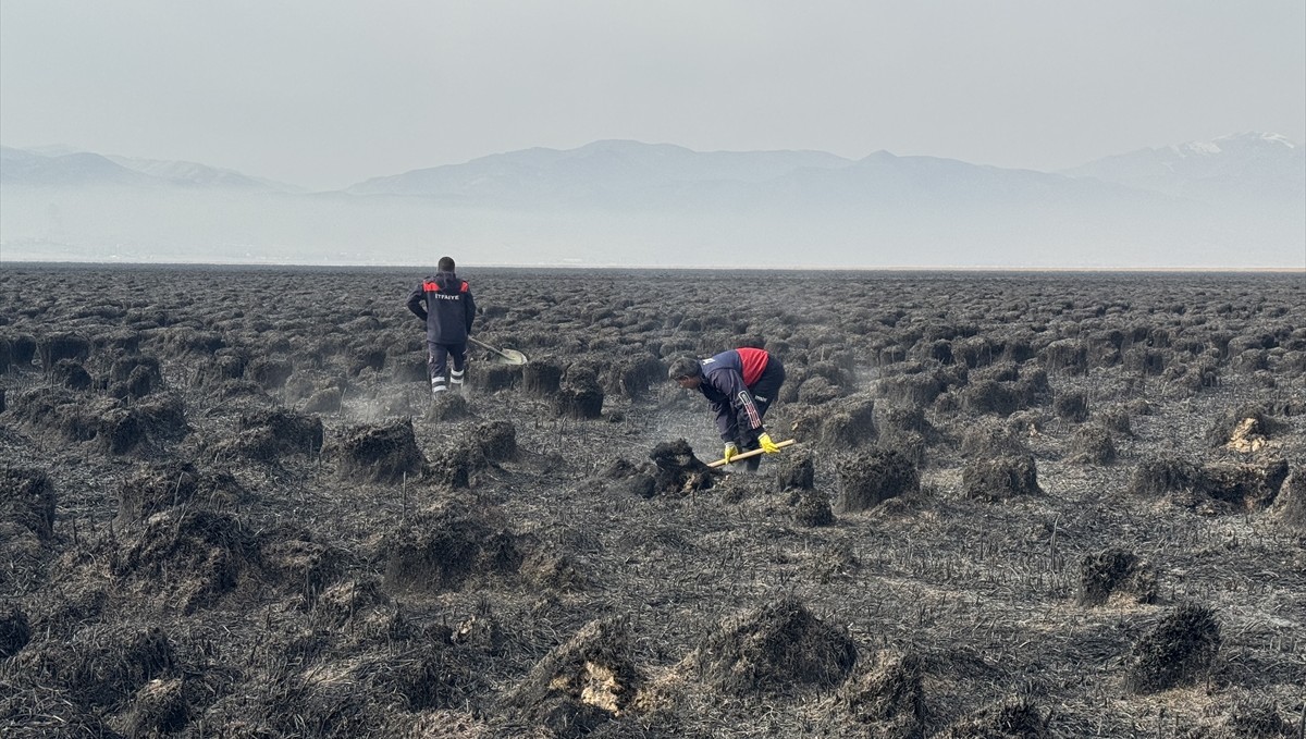 Hakkari'deki Nehil Sazlığı'nda 7 Kasım'da çıkan yangın söndürüldü
