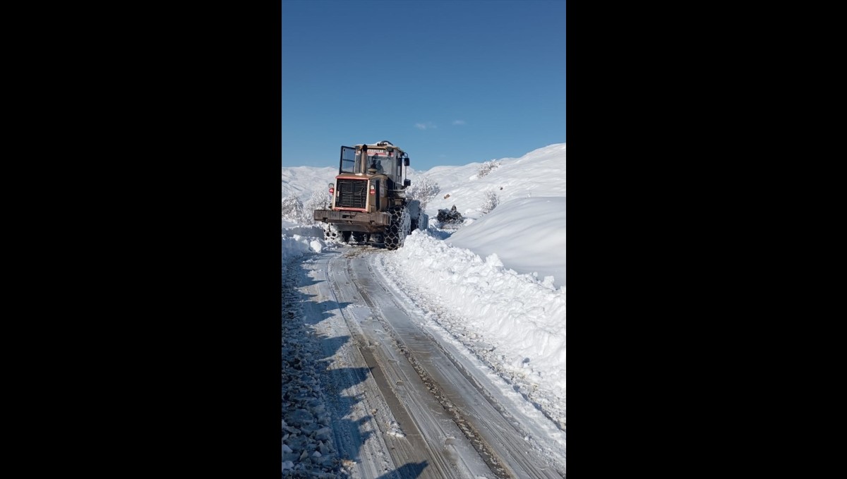 Hakkari ve Muş'ta kapanan 44 yerleşim yerinin yolu ulaşıma açıldı