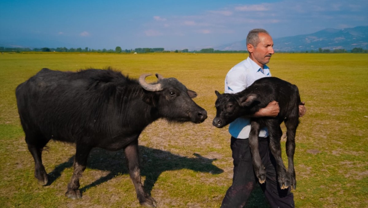 Huawei XMAGE 2025'te Türk fotoğrafçı dünya ikincisi oldu