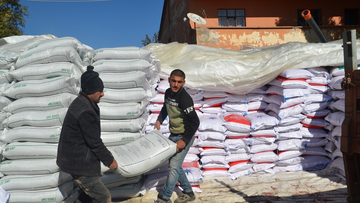 Muş Ovası'nda çiftçiler güzlük buğday ekimine başladı
