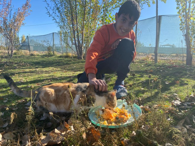 Sokak hayvanlarını elleriyle besliyor, onlara yuva oluyor1