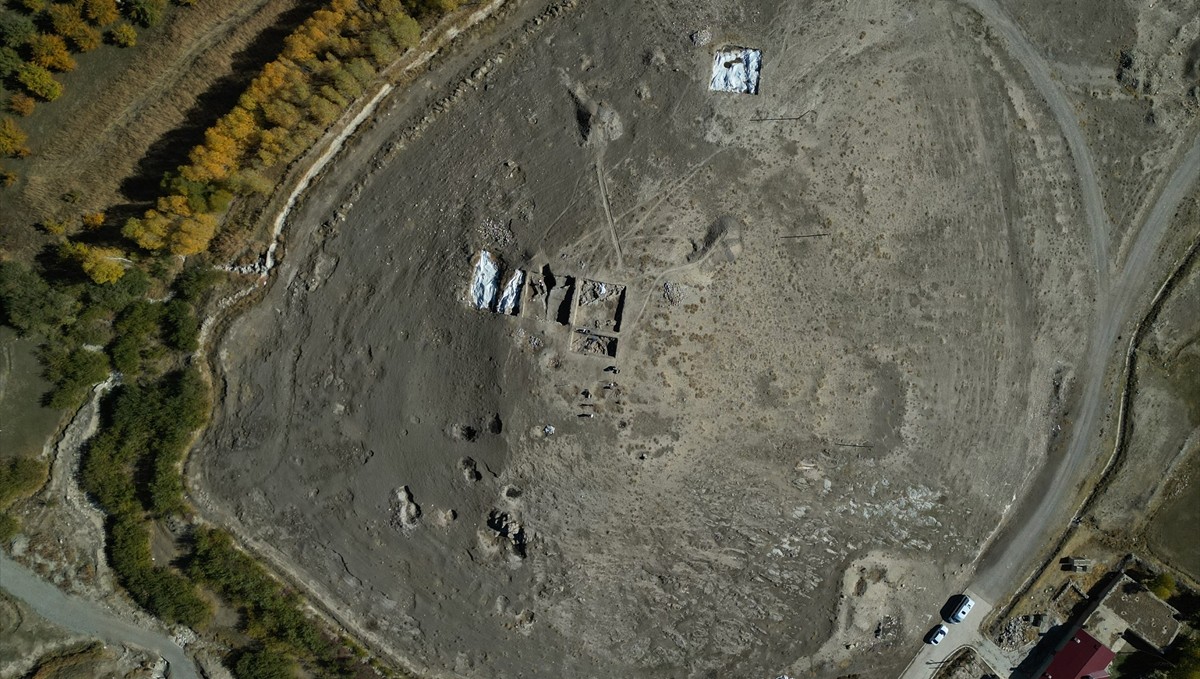 Van'daki kazılarda 5 bin yıllık olduğu değerlendirilen karbonlaşmış arpa taneleri bulundu