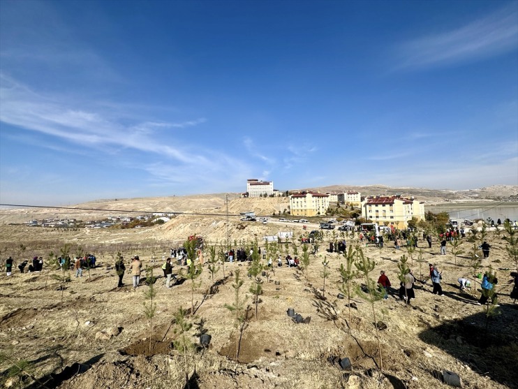 Van ve çevre illerde binlerce fidan toprakla buluşturuldu