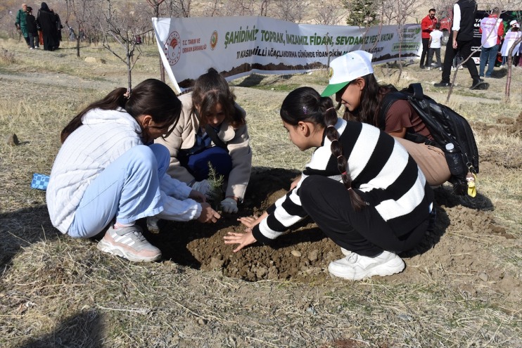toprakla buluşturuldu çevre ve binlerce fidan illerde  Van 4