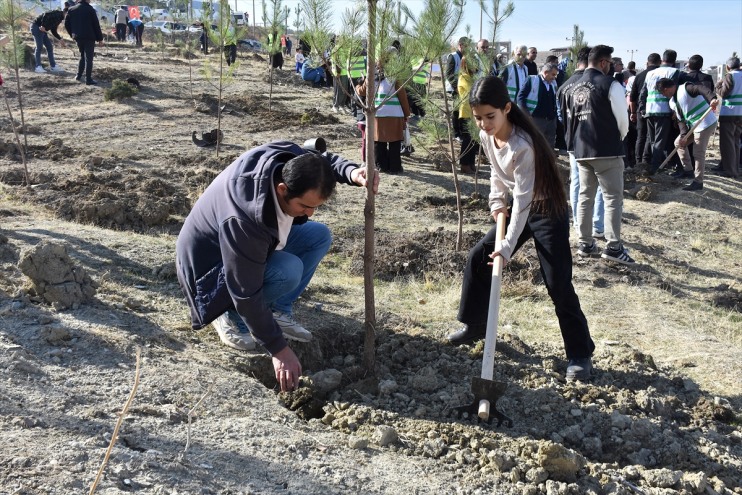 toprakla Van buluşturuldu illerde binlerce  çevre ve fidan 8
