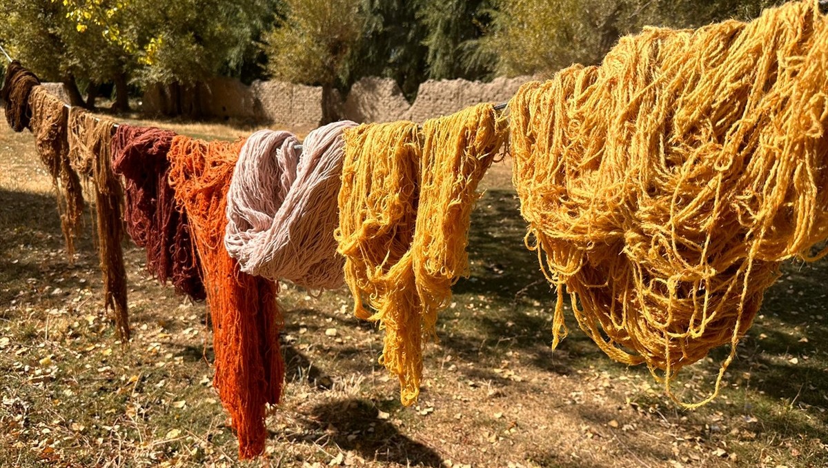 Vanlı kadınlar, iplere doğada topladıkları bitkilerle renk veriyor