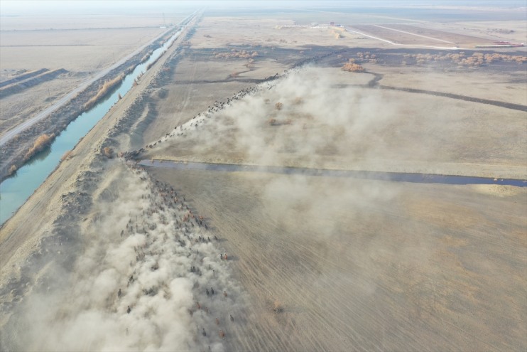 ediyor eğittikleri Dağı