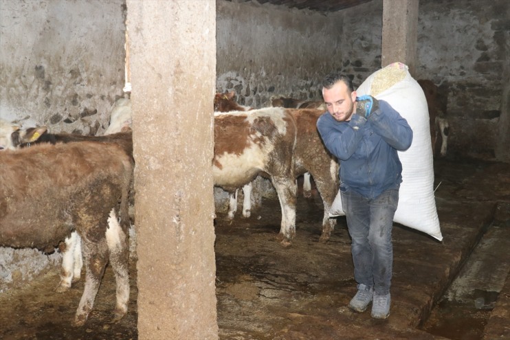 tekniker Ağrılı hayvancılık işini veteriner desteğiyle genç büyüttü hibe 1