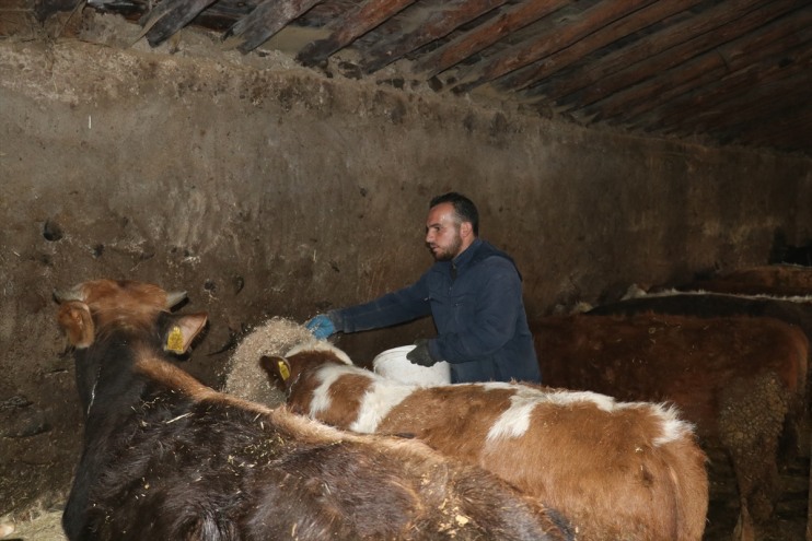 hibe büyüttü desteğiyle tekniker işini genç veteriner hayvancılık Ağrılı 2