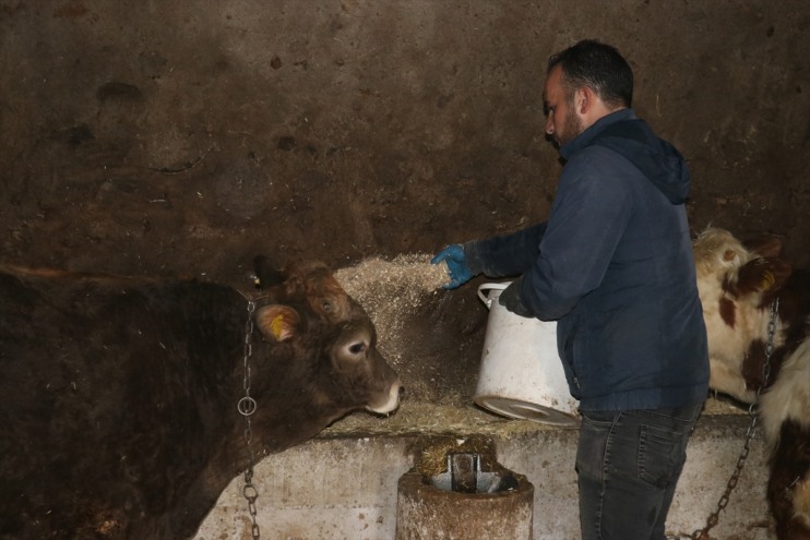 Ağrılı büyüttü genç işini hibe desteğiyle veteriner hayvancılık tekniker 5