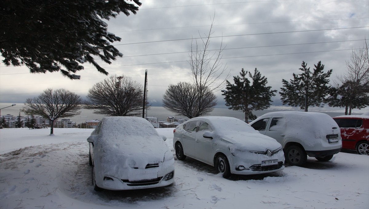 Ahlat kar yağışıyla beyaza büründü