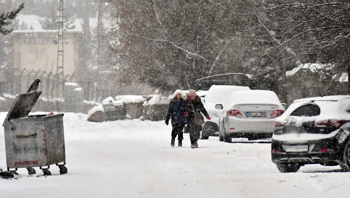 Kars ve Ardahan'da kar yağışı etkili oldu