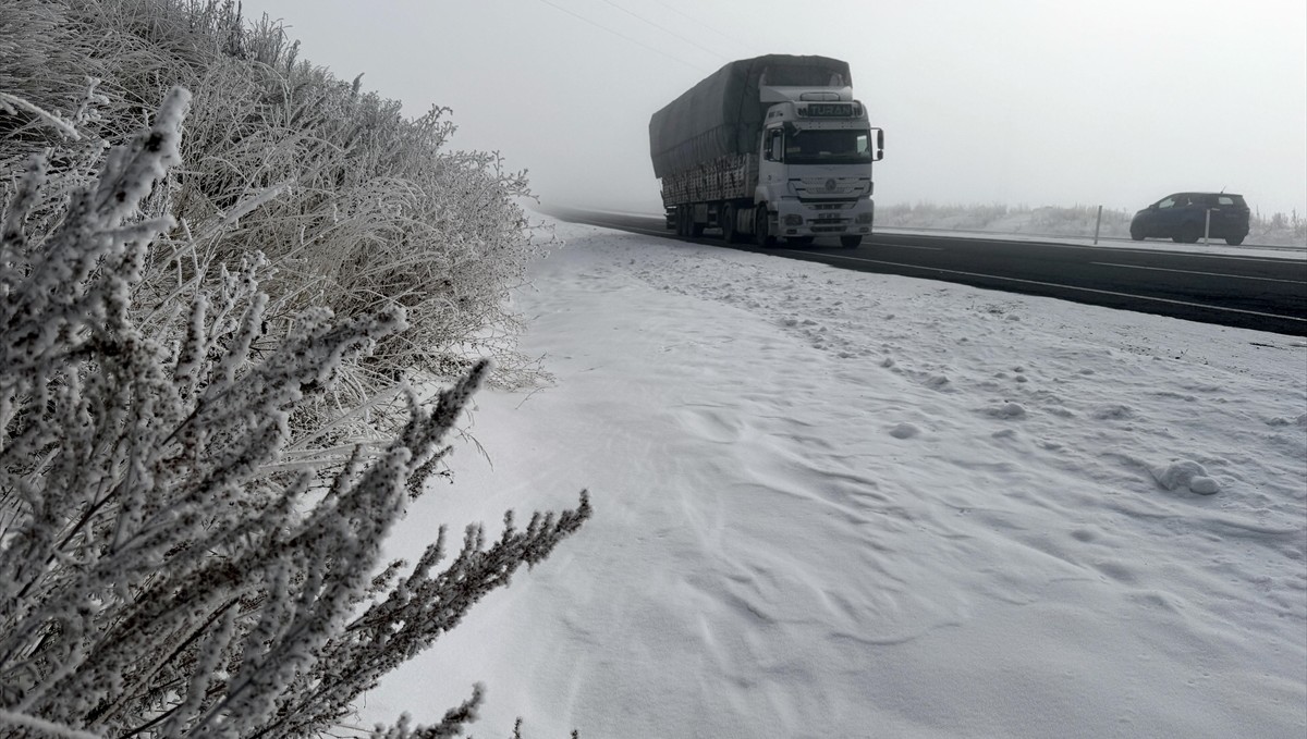 Ardahan'da sis etkili oluyor