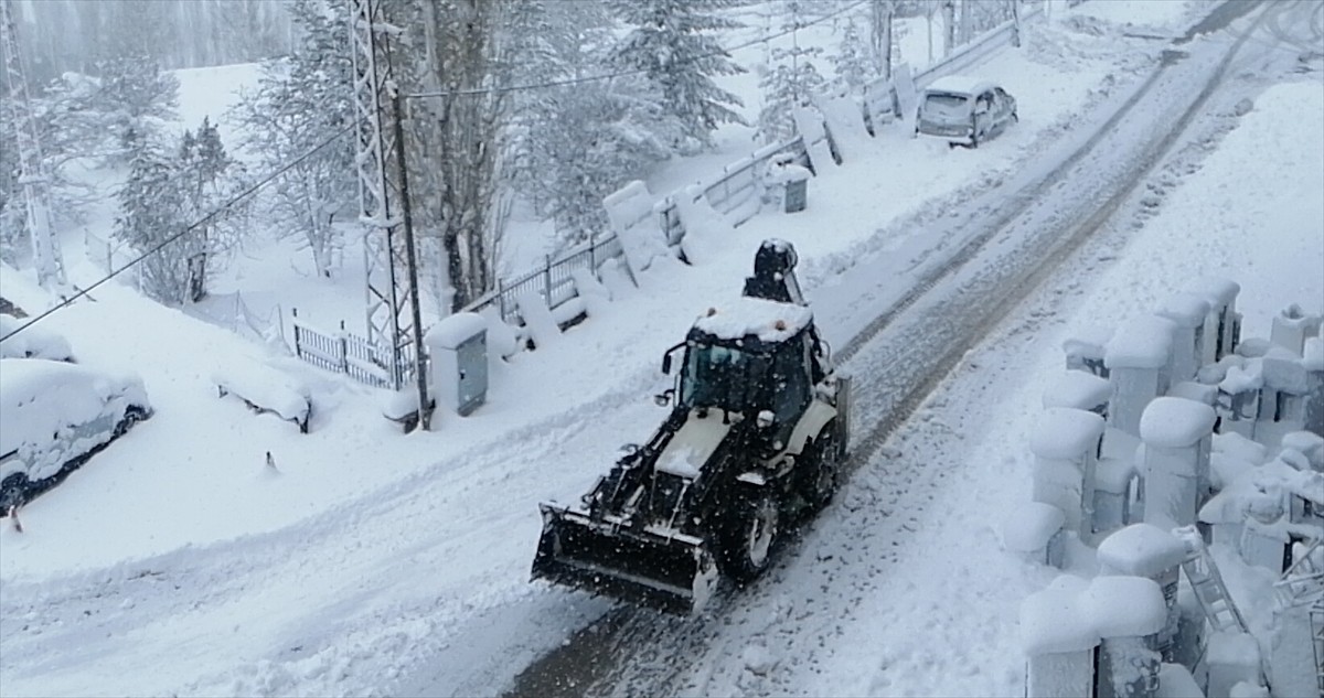 Bahçesaray'da etkili olan kar yaşamı olumsuz etkiledi