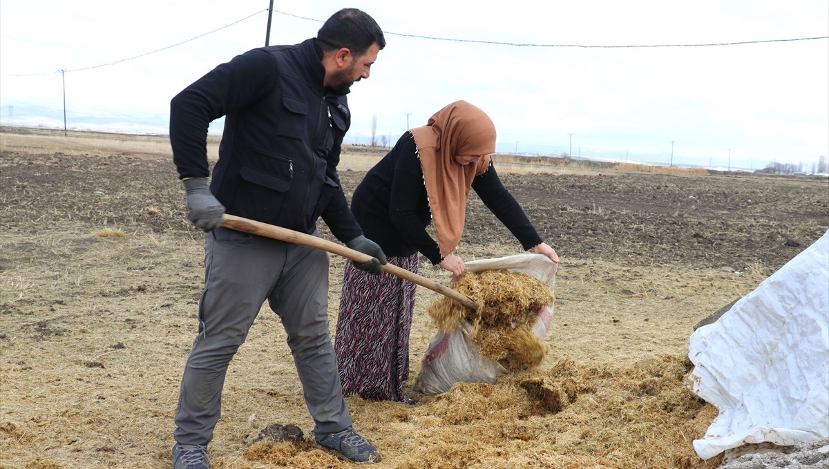 Gelin gittiği Ağrı