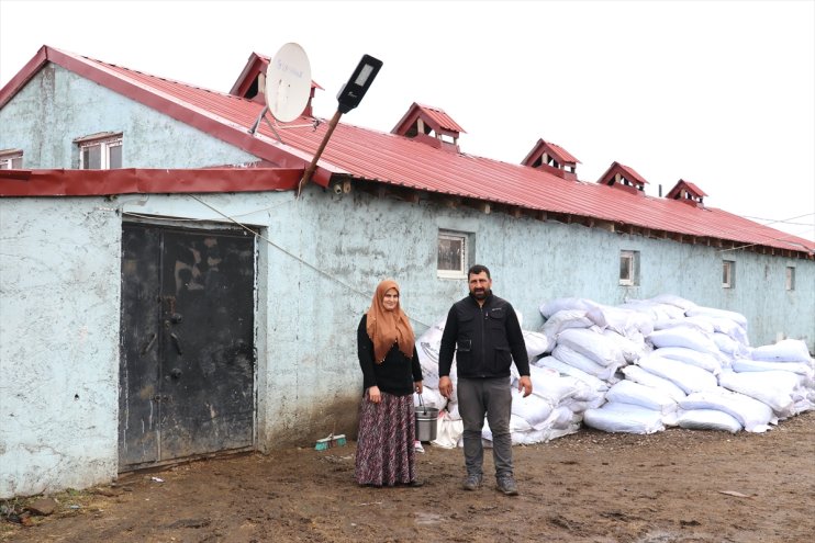 Gelin gittiği Ağrı