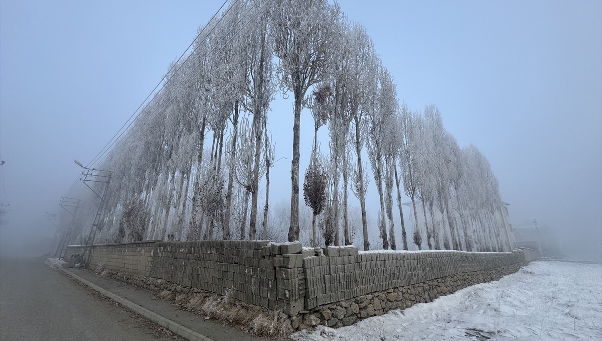 Hakkari'de soğuk hava ve sis etkili oldu