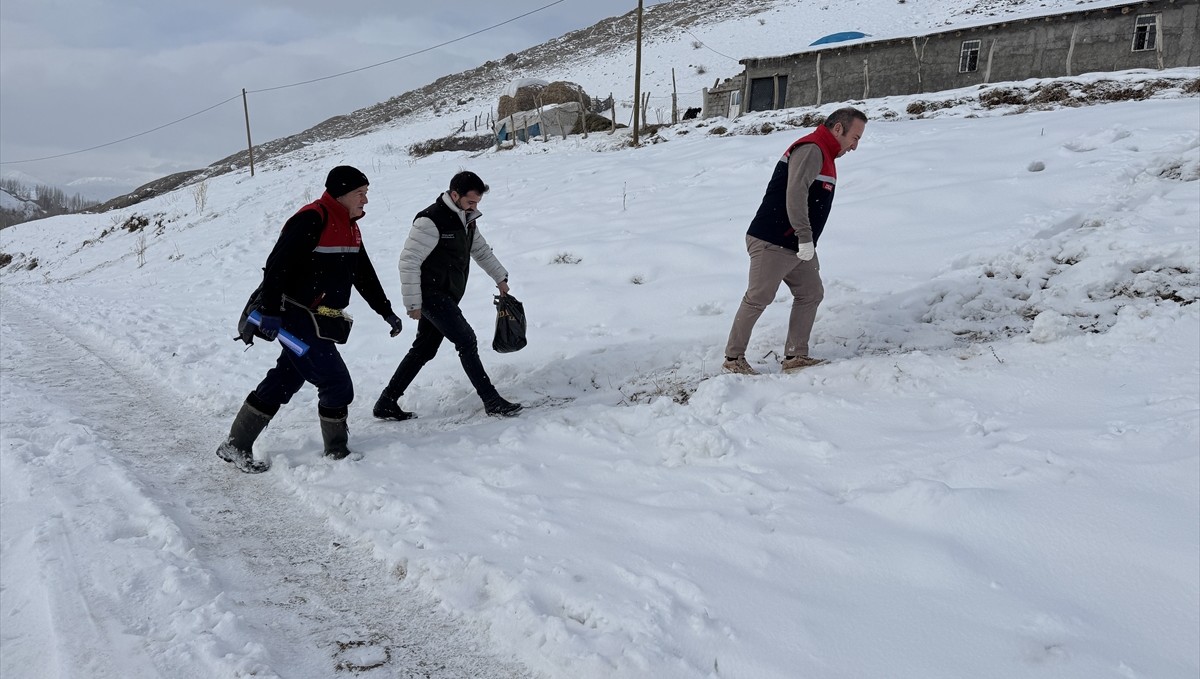 Hakkari'de veteriner hekimler hayvanların sağlığı için karlı yolları aşıyor