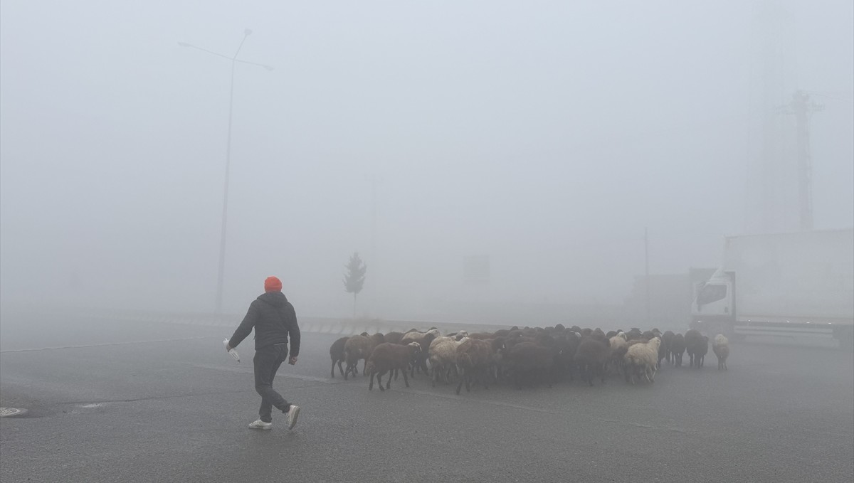 Iğdır'da yoğun sis etkili oluyor