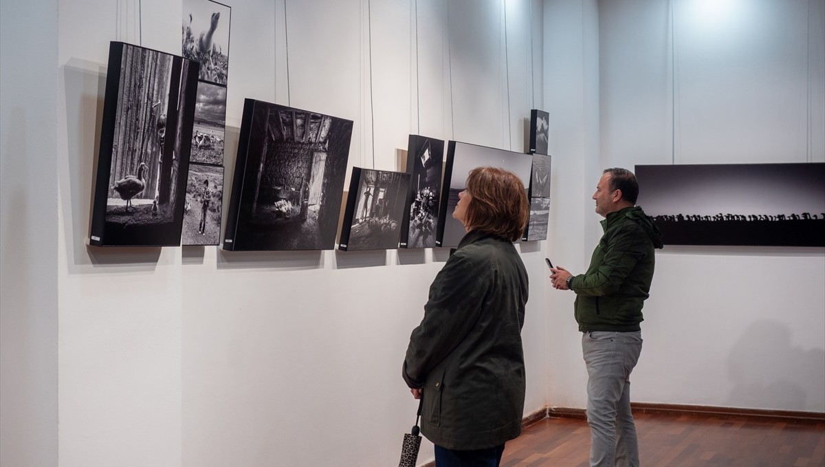 "Kazların Senfonisi" fotoğraf sergisi İzmir'de açıldı