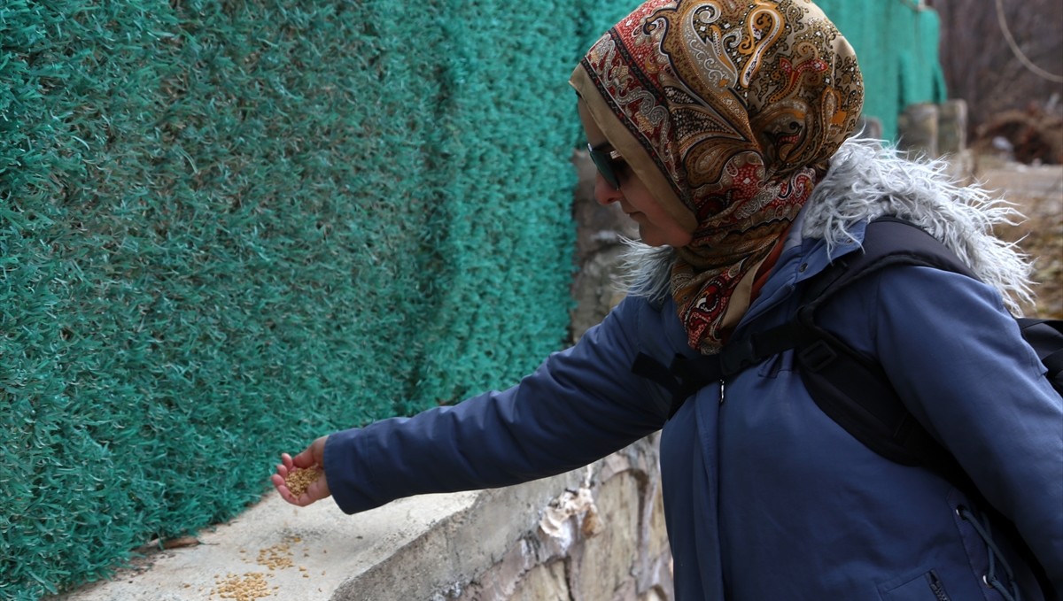 Malatya'da yaban hayvanları için doğaya yem bırakıldı
