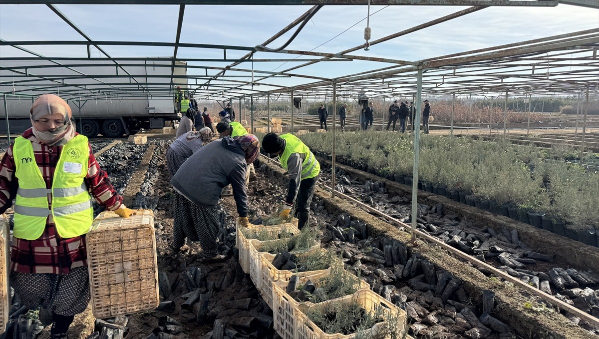 Malatya'dan Türkmenistan'a 50 bin fidan desteği