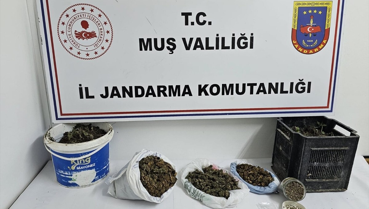 Muş'ta uyuşturucu operasyonunda 1 şüpheli gözaltına alındı