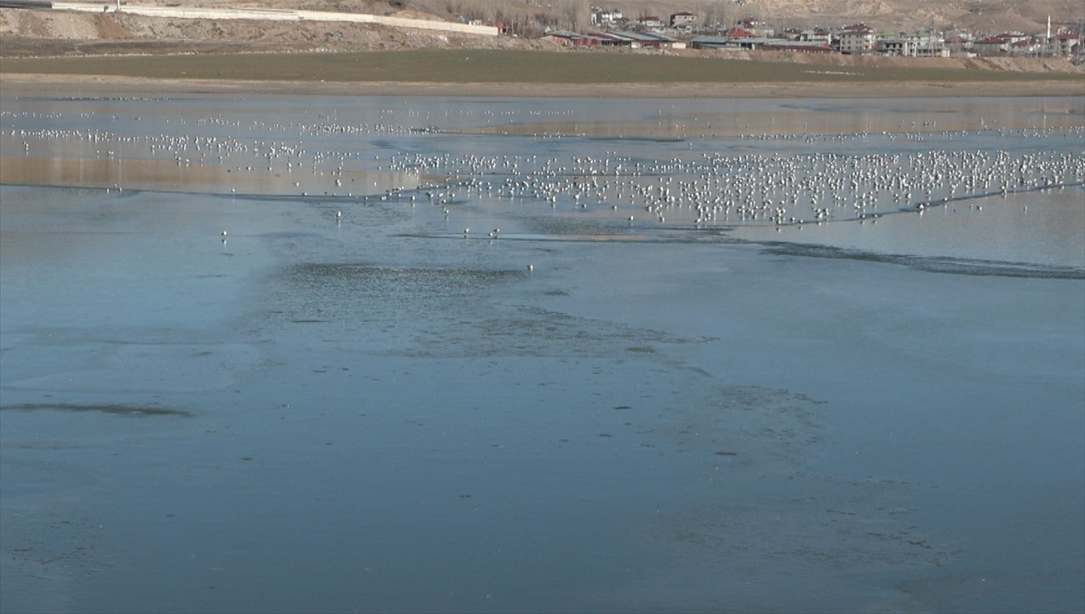 Van'daki Sıhke Gölü'nün yüzeyi kısmen buzla kaplandı