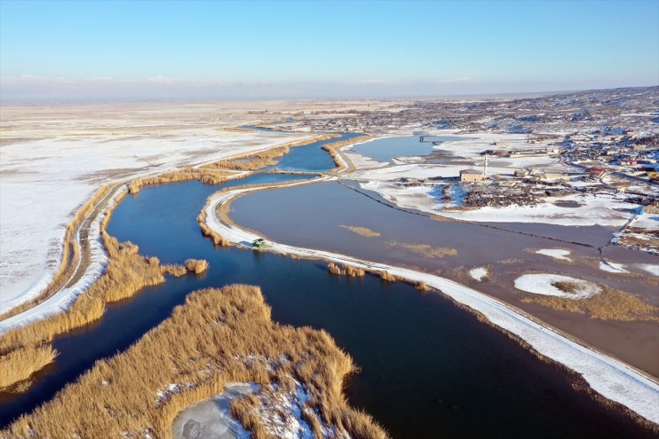 Ağrı Dağı'nın eteklerinde dondurucu soğuklara rağmen 35 kuş türü yaşıyor