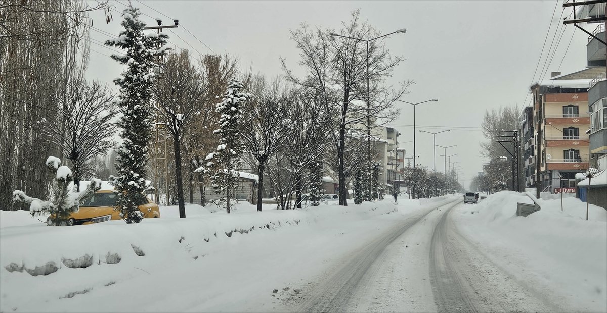 Ağrı ve Kars'ta kar ve tipi etkili oluyor