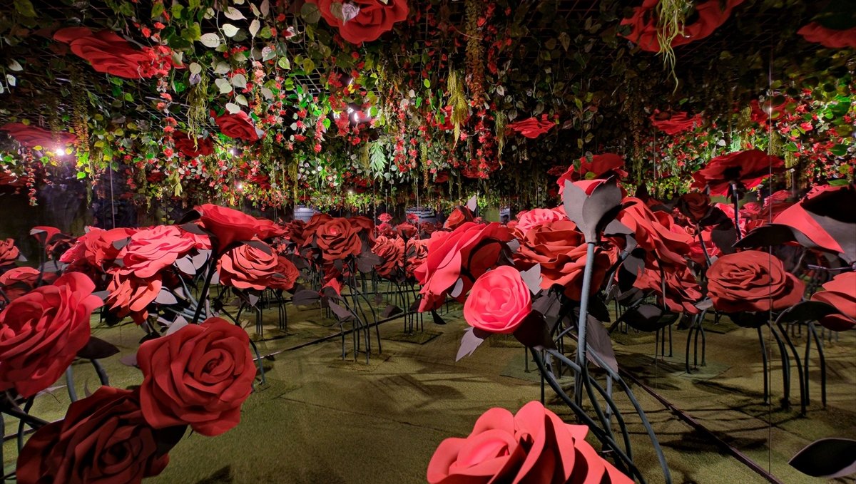 Akasya AVM'den yarıyıl tatiline özel program