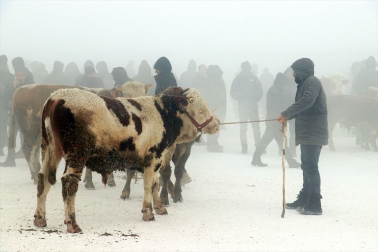 hava soğuk Ardahan
